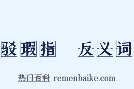 驳瑕指颣反义词是什么意思的图片